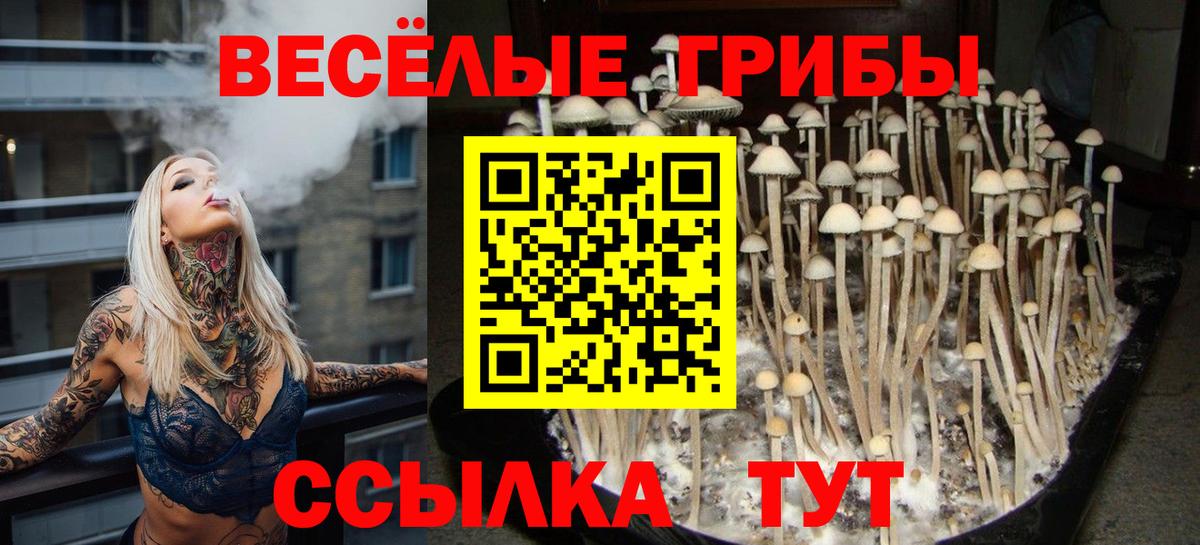 Псилоцибиновые грибы Psilocybine cubensis  Вход с VPN  Салават 