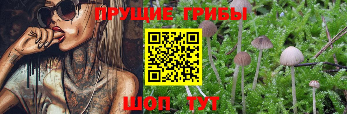 Псилоцибиновые грибы GOLDEN TEACHER Салават